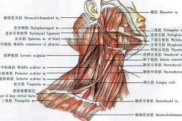 爱游戏游戏平台-f1p595ps27xyz五